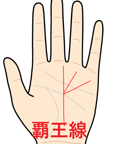 【手相占い】覇王線がある人の特徴とは？その意味と見つけ方
